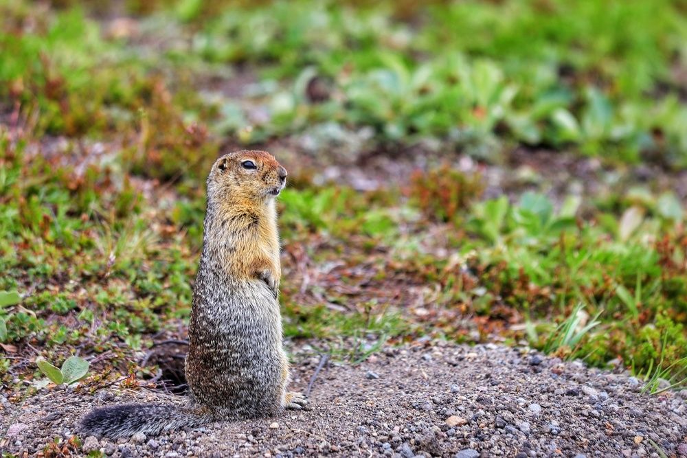 Photograph by Екатерина Цвиркунова