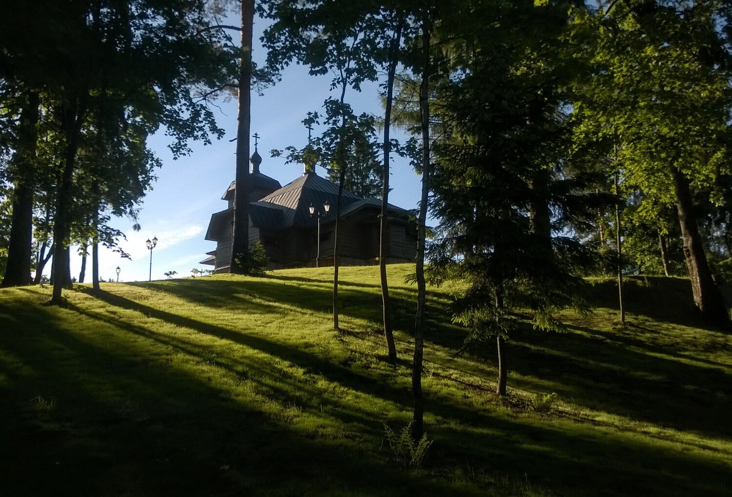 Photo #8468207