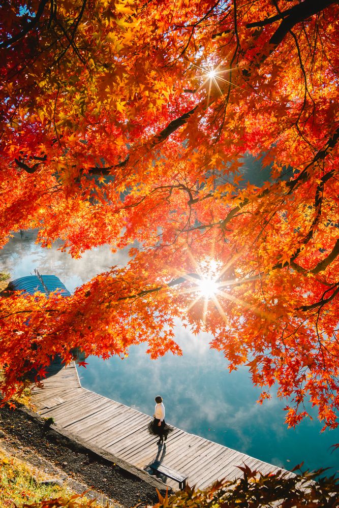 Photograph by tran luong quyen