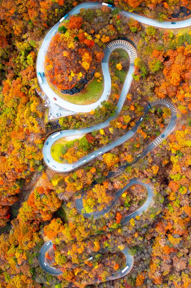 Фотография автора tran luong quyen