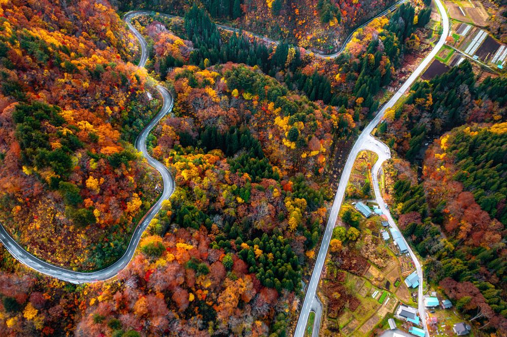 Фотография автора tran luong quyen