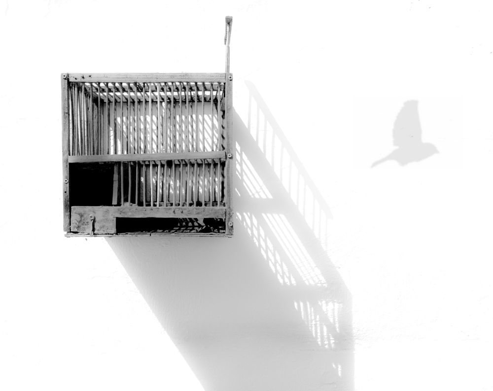 Photograph by Francisco José López Fernández