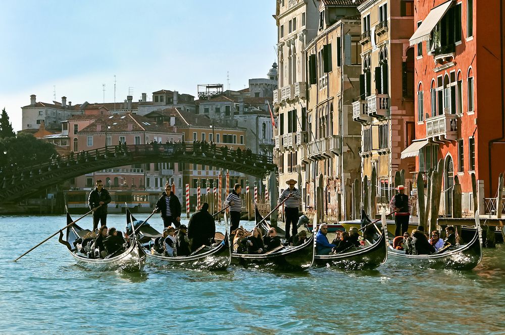 Фотография автора Ольга Виноградова