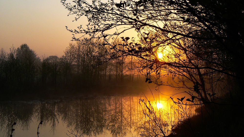 Photo #8468434