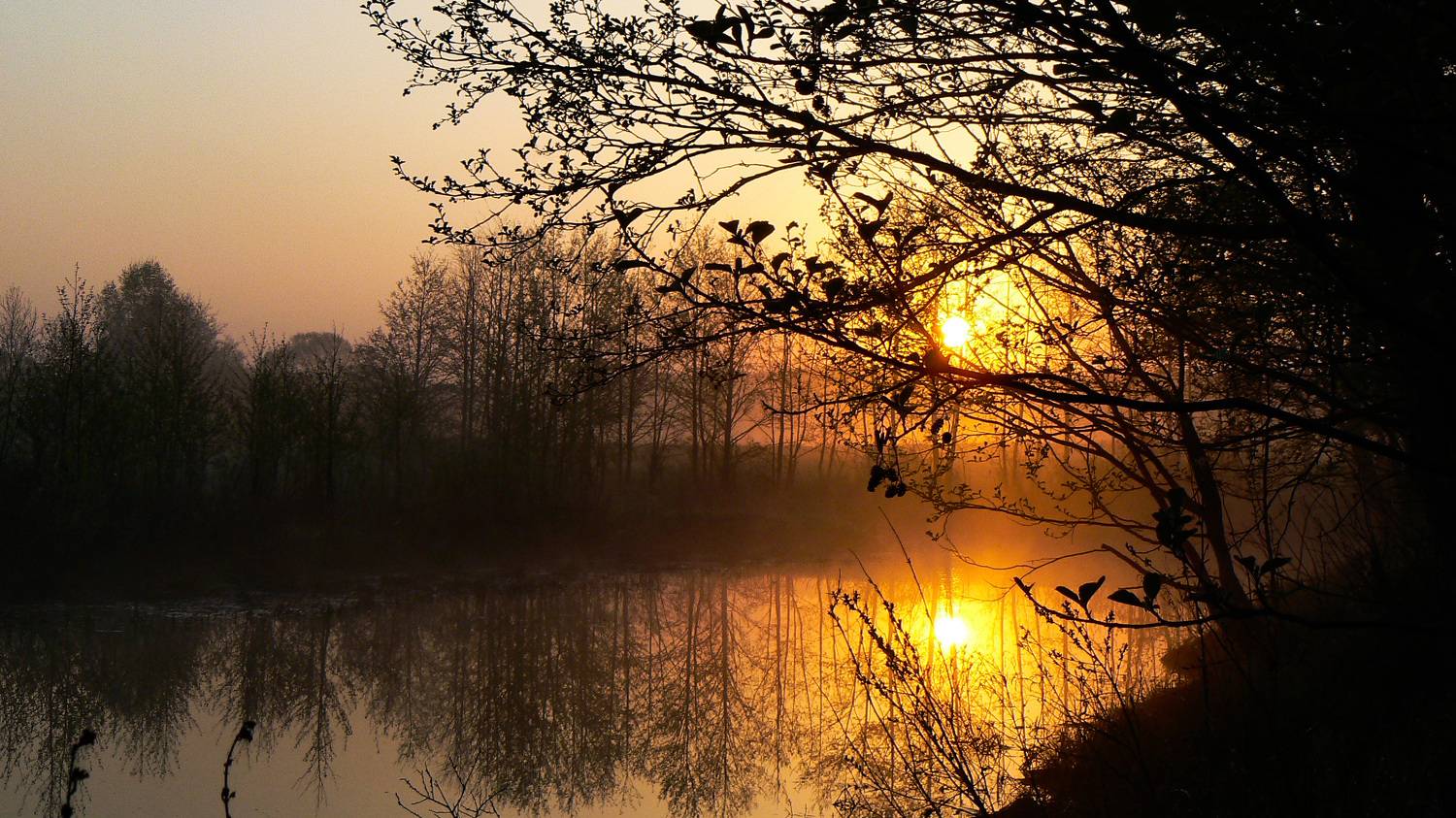 Photo #8468434