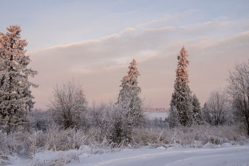 Фотография автора Наталья Липовская