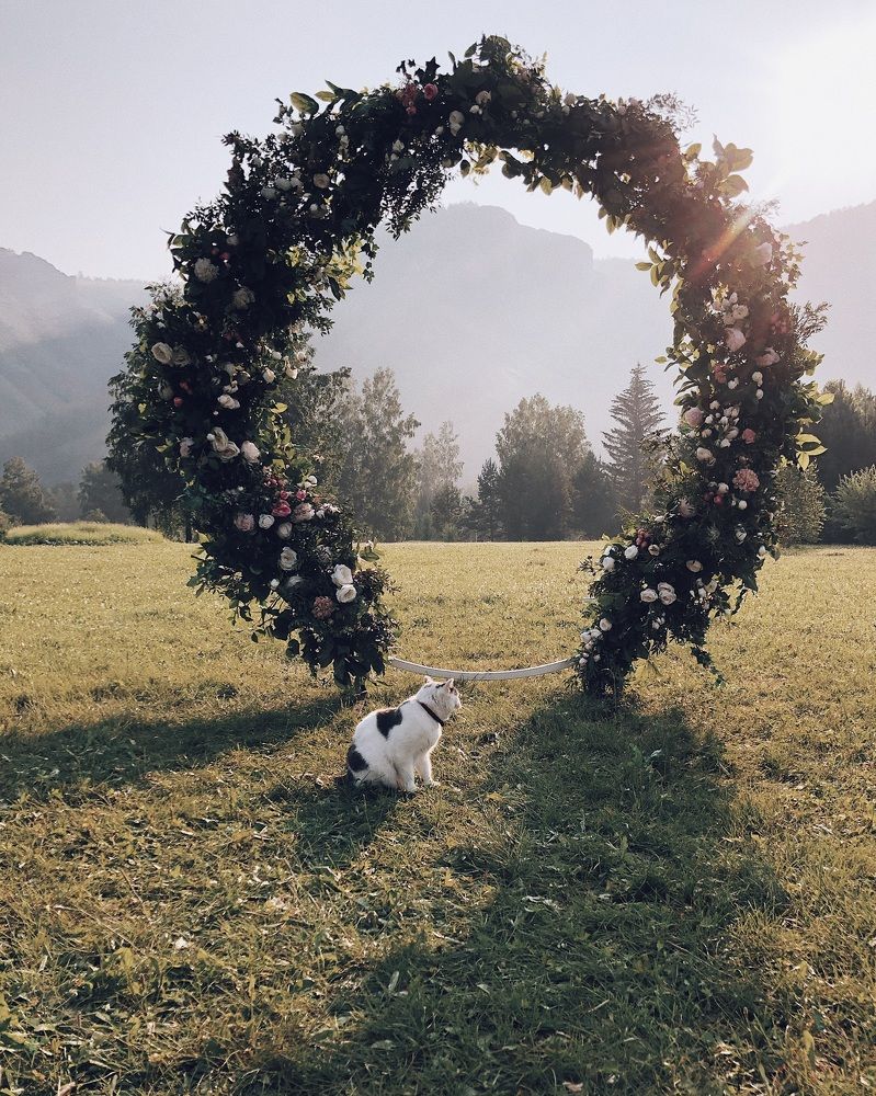 Photograph by Мария