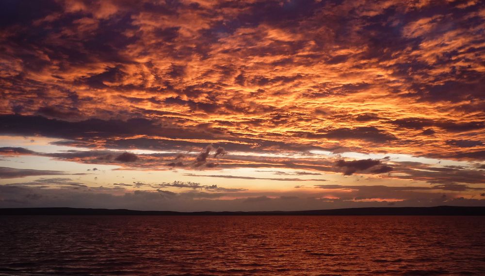 Photograph by Natalia