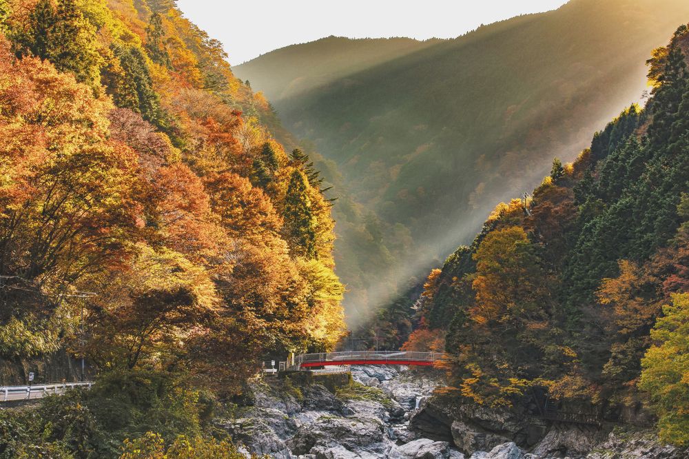 Photograph by DOAN NGOC ANH