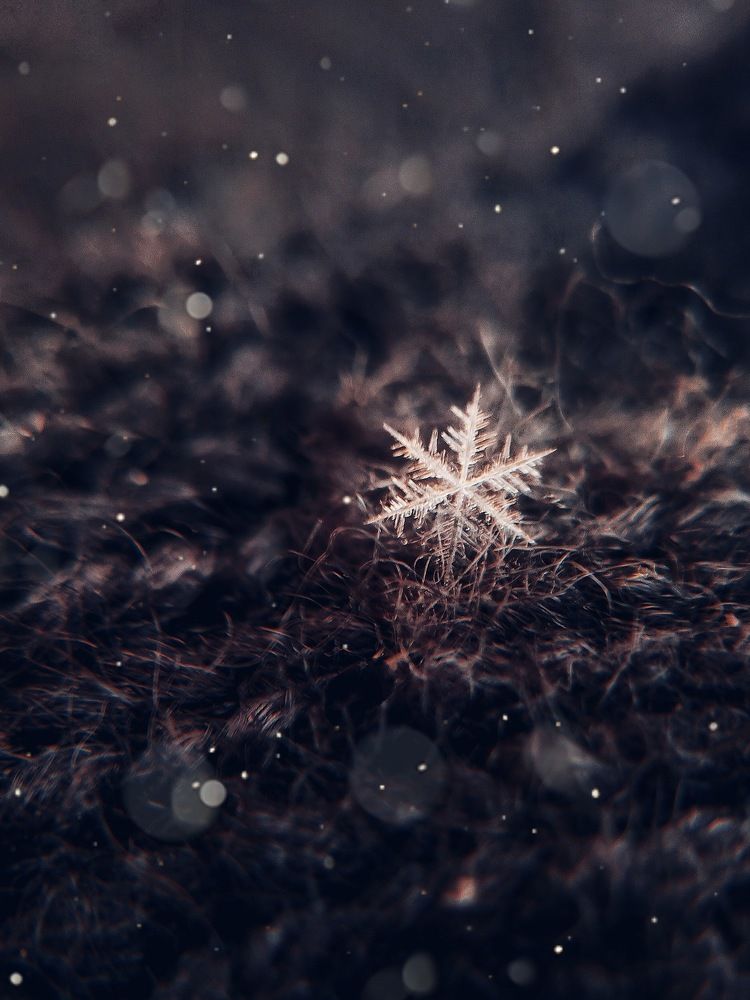 Фотография автора Татьяна Шахова