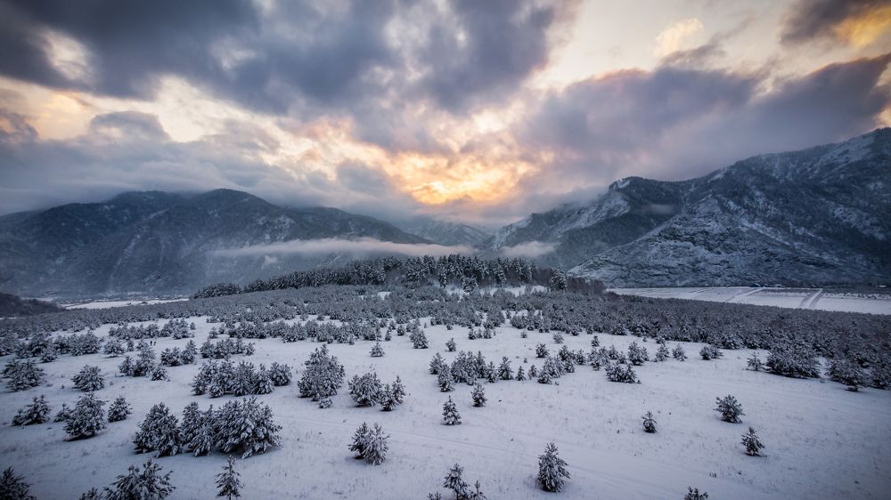 Photograph by Лобанов Денис