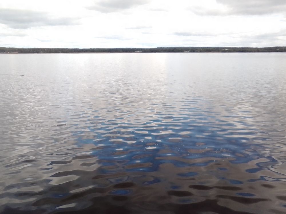 Photograph by Irina Mihailovskaya