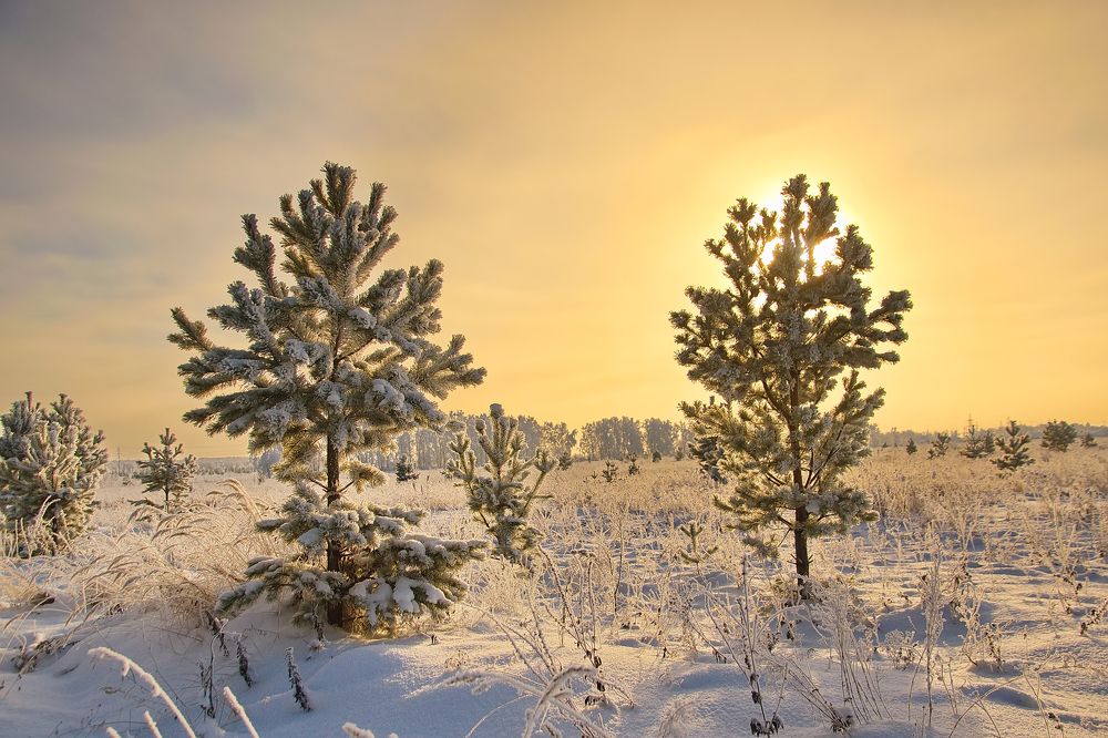 Photograph by Василий Быстрицкий