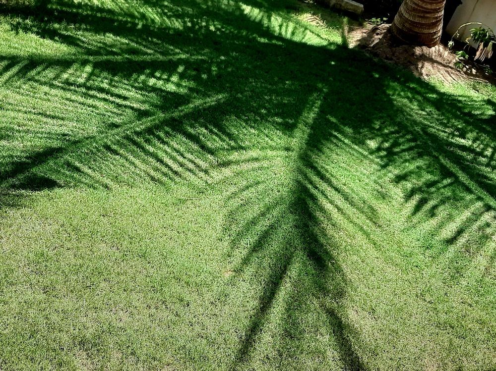 Фотография автора Hepzibah Guna Sakaran