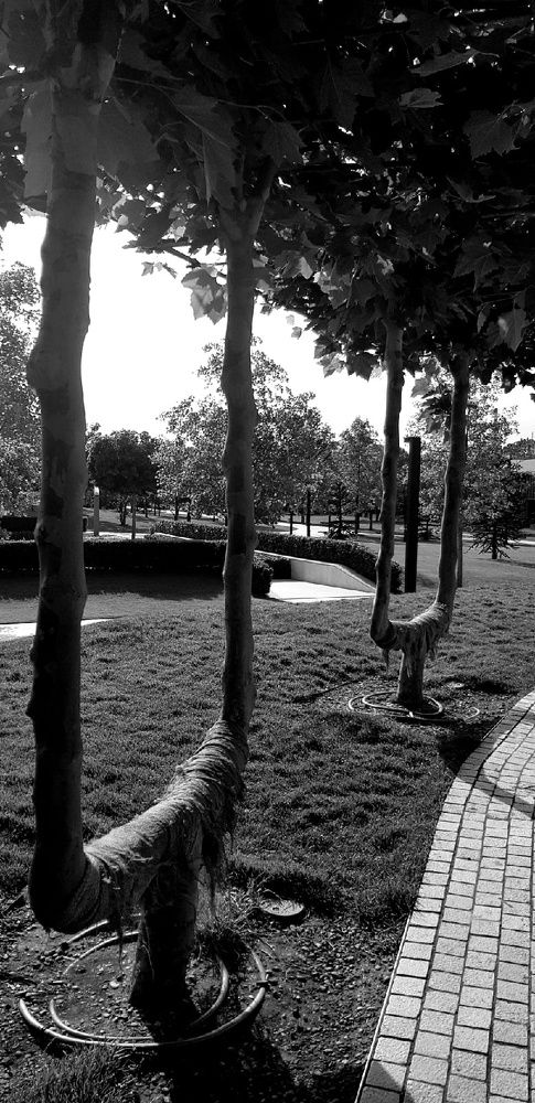 Фотография автора Ольга Мусина