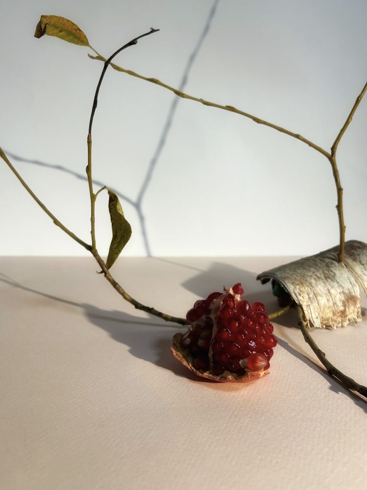 Photograph by Ольга Томашевич