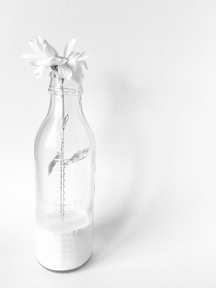 Молочный цветок