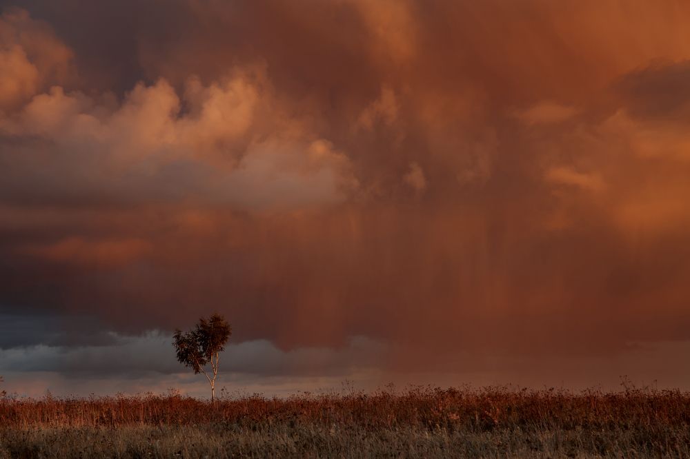 Фотография автора Julia Shepeleva