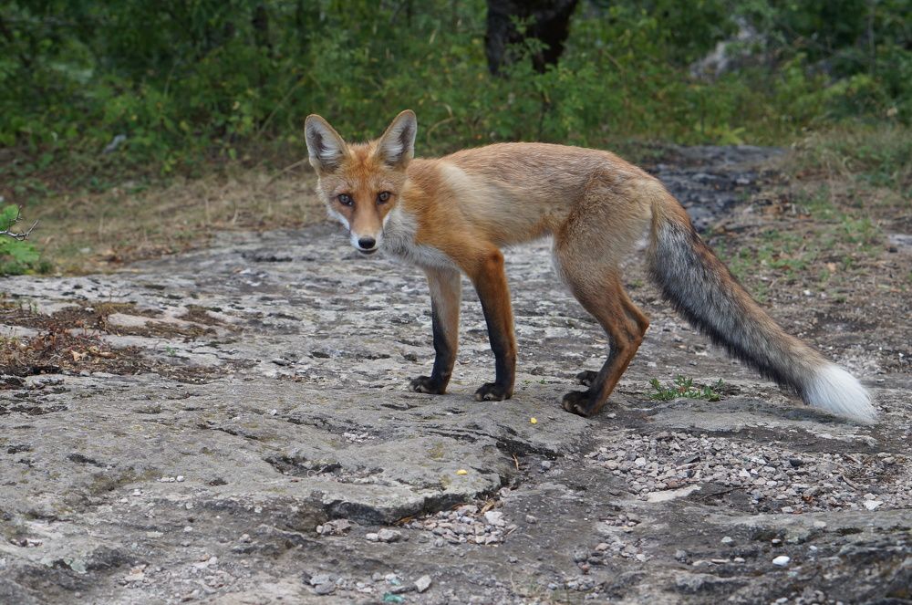 Photograph by Вадим Карпов