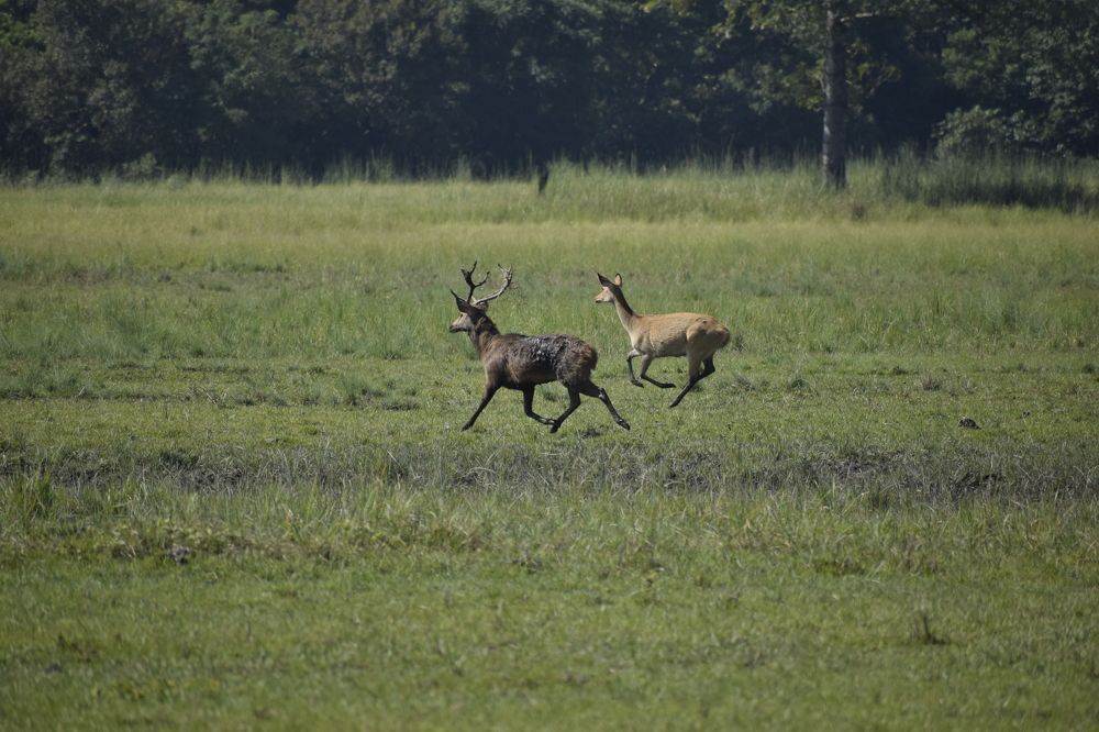 Photograph by Prakash Aryal