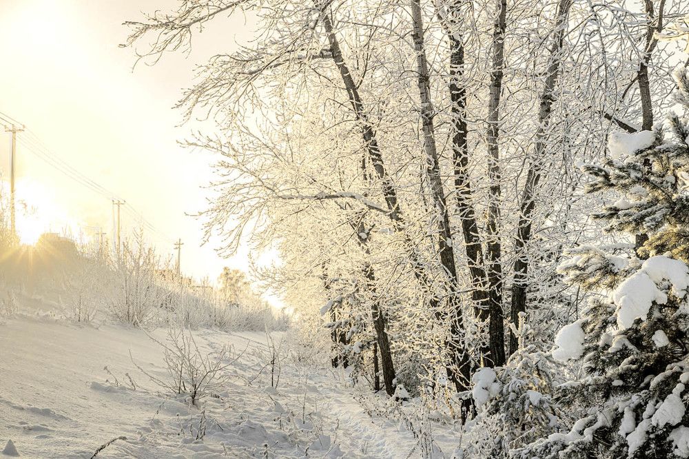 Photograph by миша