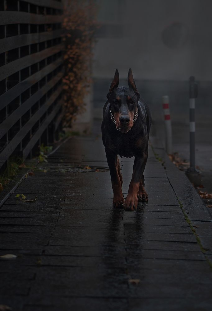 Photograph by Екатерина Лебедева