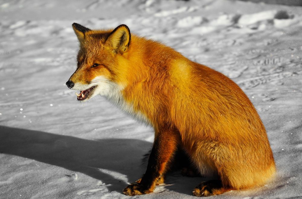 Photograph by Даниил Марков