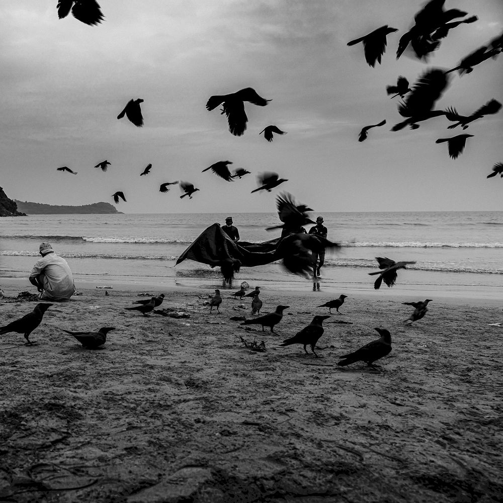 Photograph by Pouyan Safavi