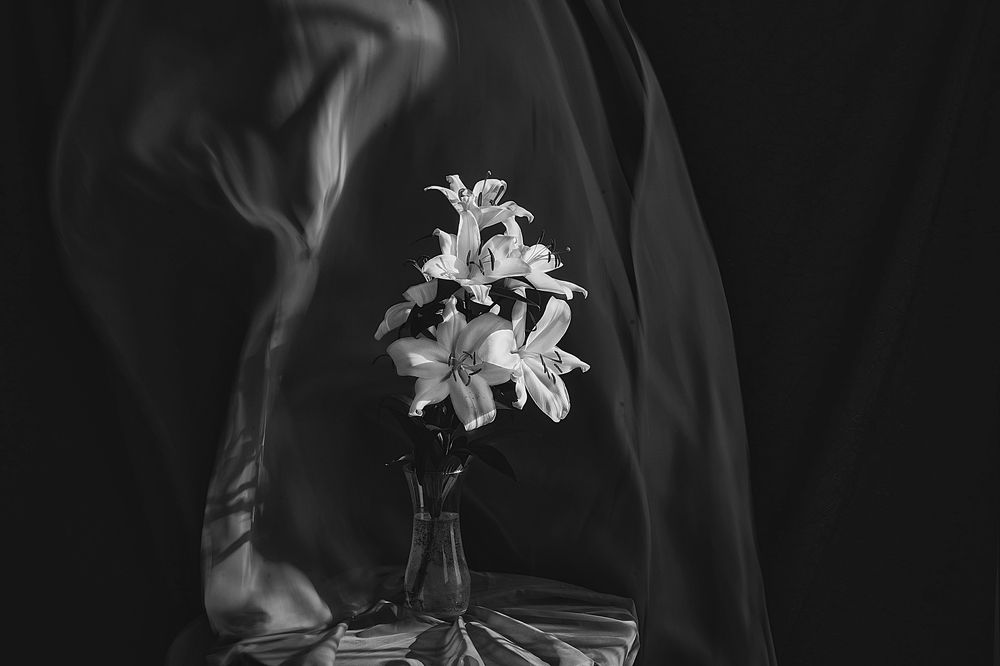 Photograph by Светлана Зборовская