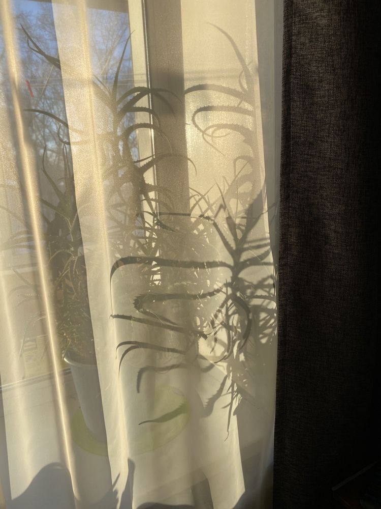 Photograph by Светлана Подорван