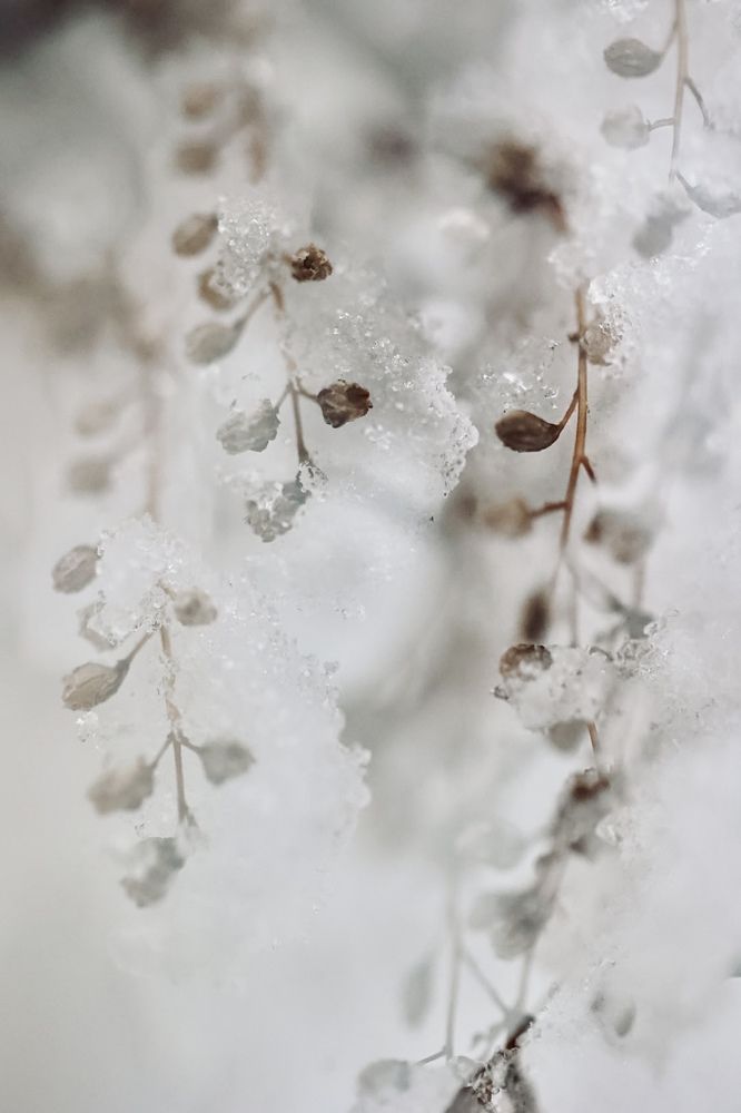 Photograph by Ольга Одаренко