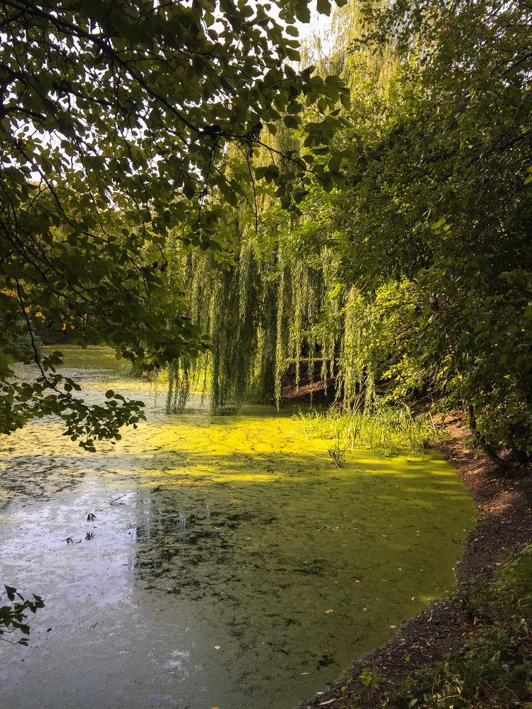 Photograph by Алиса Грюнвальд