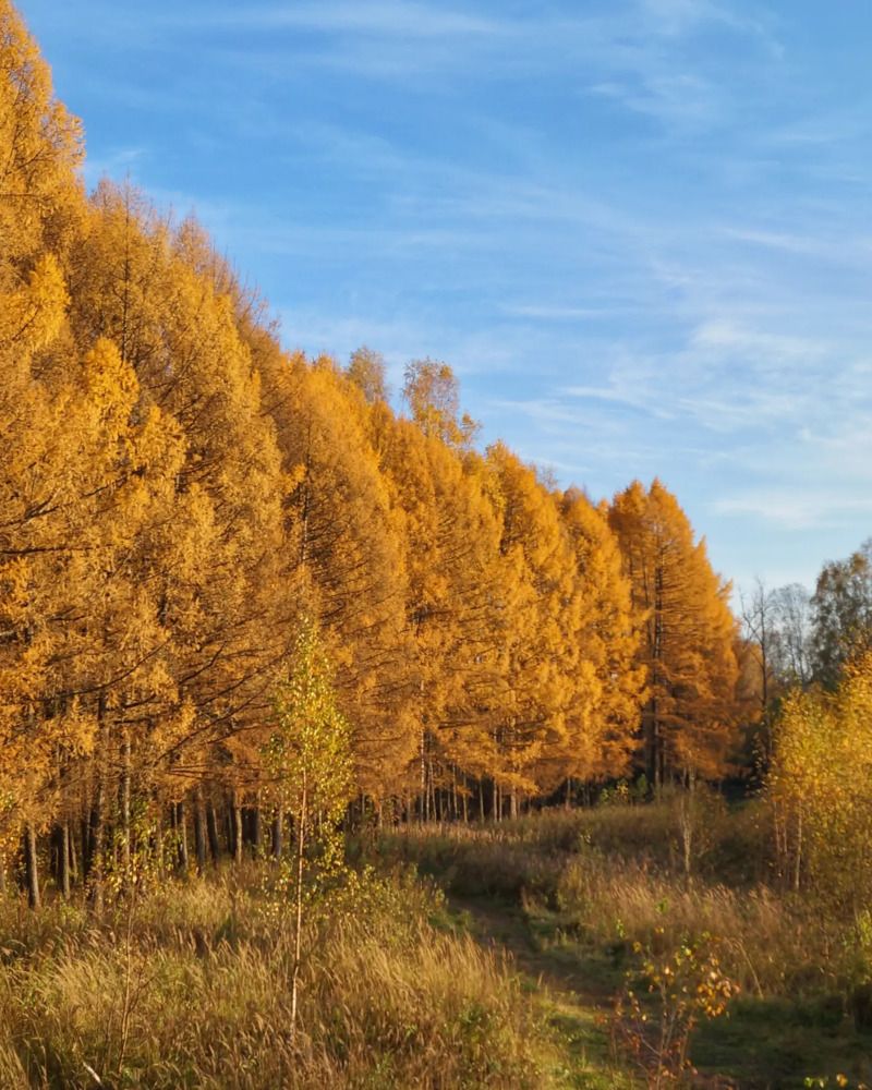 Photograph by Анна Каменева