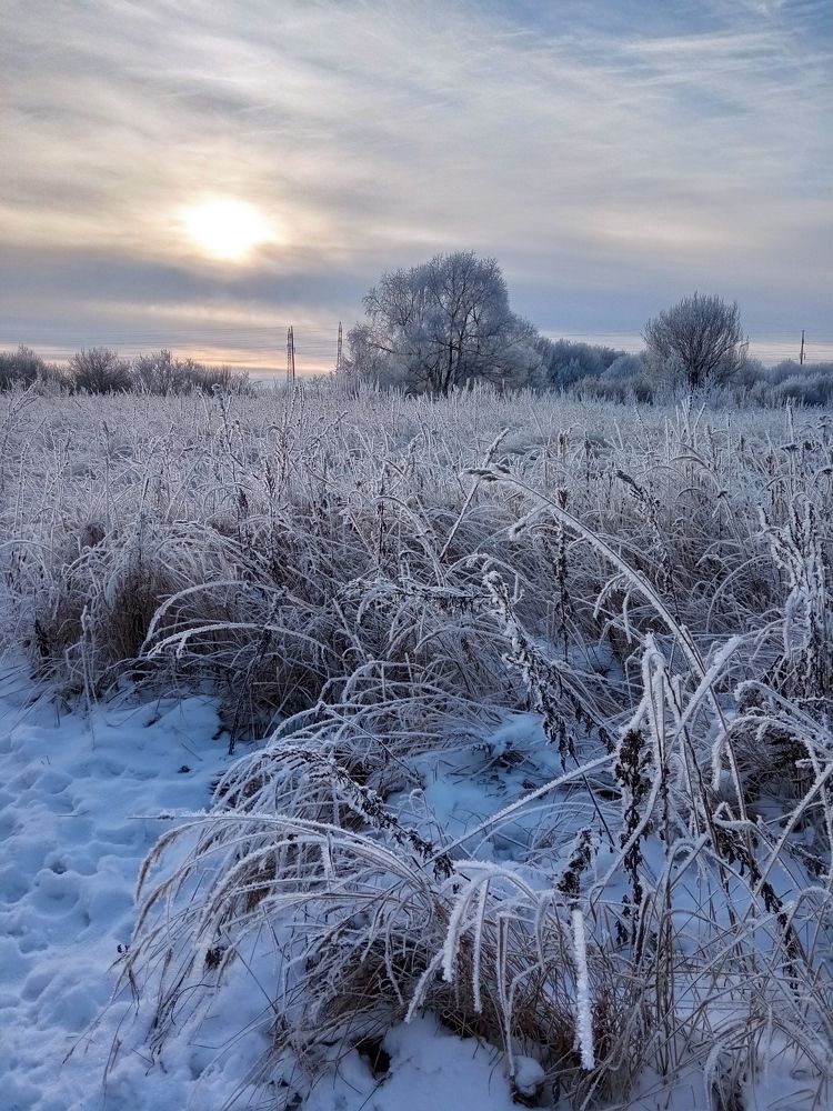 Photograph by Роман Межерицкий