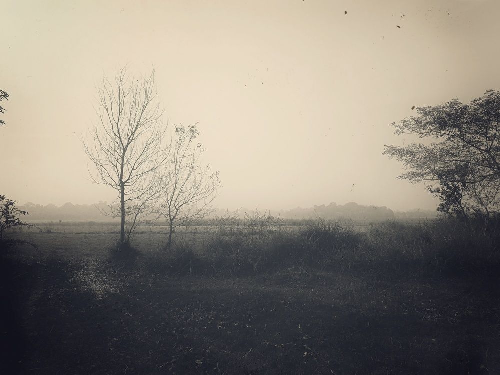 Photograph by Nishant Raj