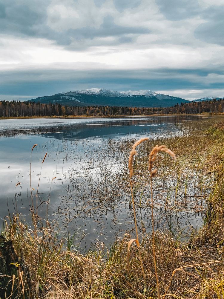 Photograph by Оксана Моргунова