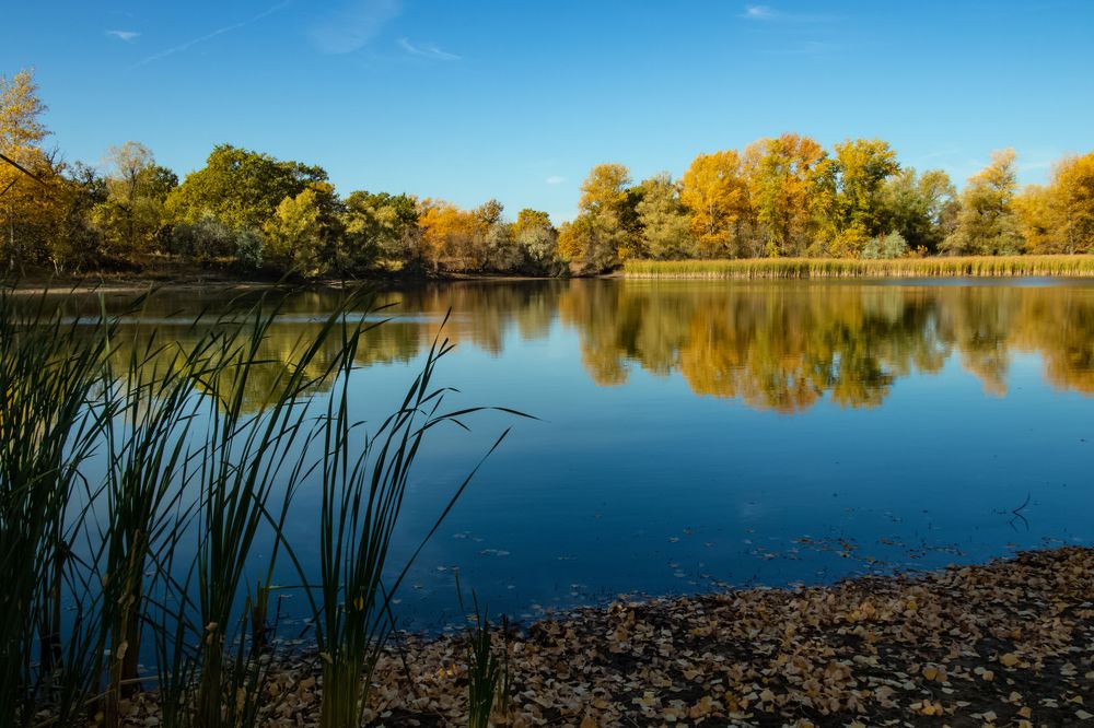 Photograph by Vladimir Rybalko