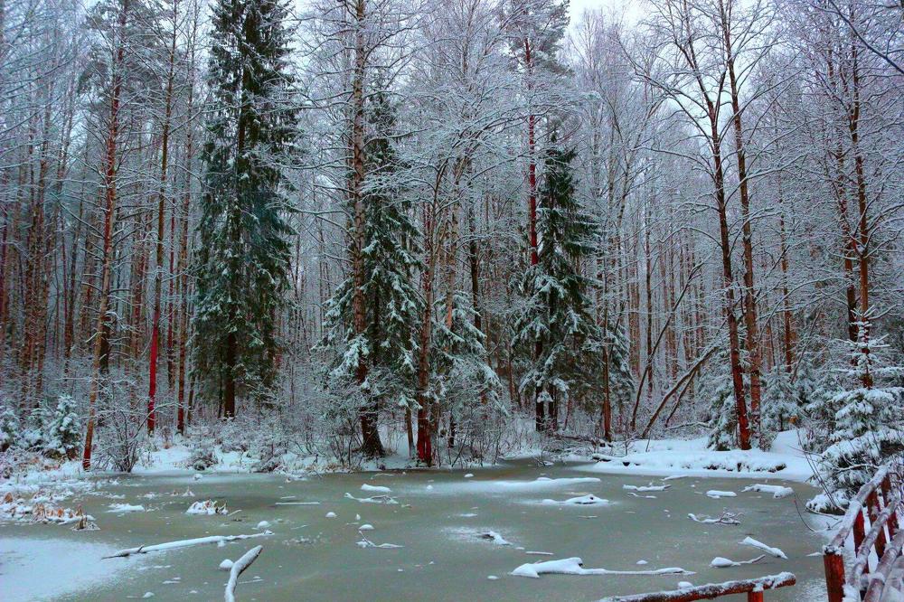 Photograph by салим насыпов