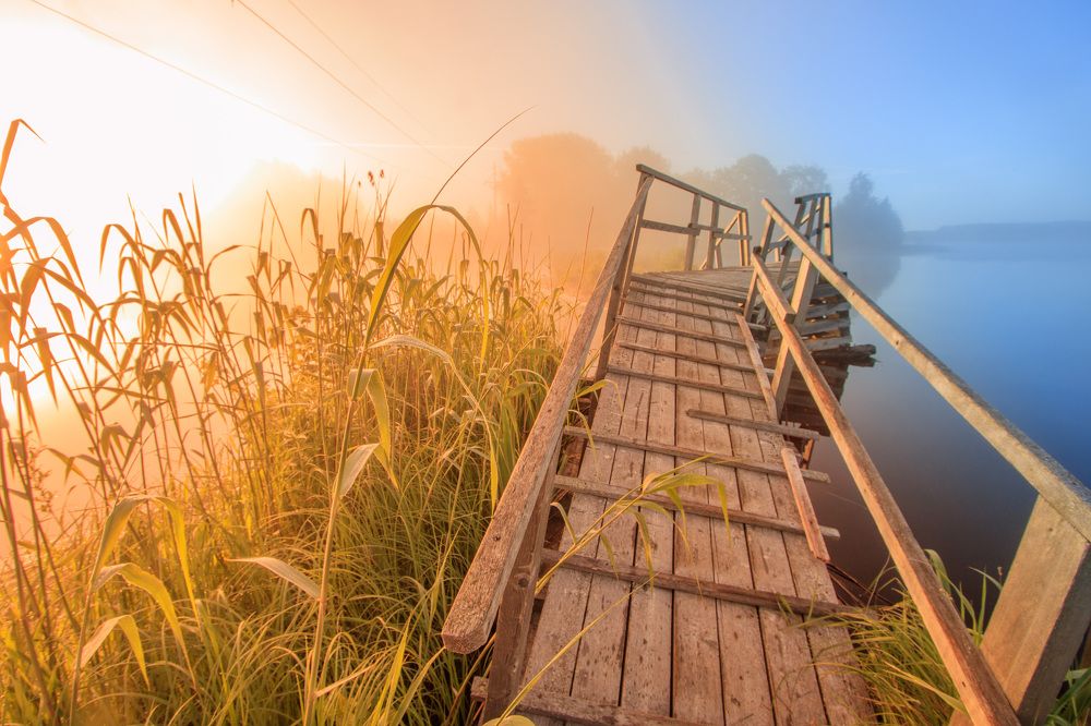 Photograph by NIKITA LUFEROV