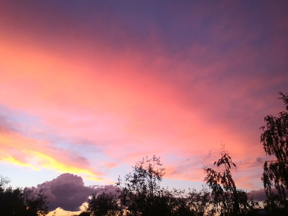 Photograph by Инна Голубева