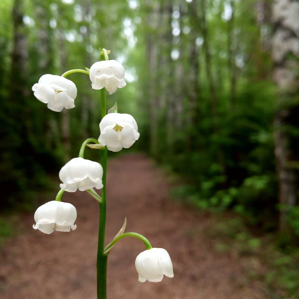 Photograph by Алина Зуева