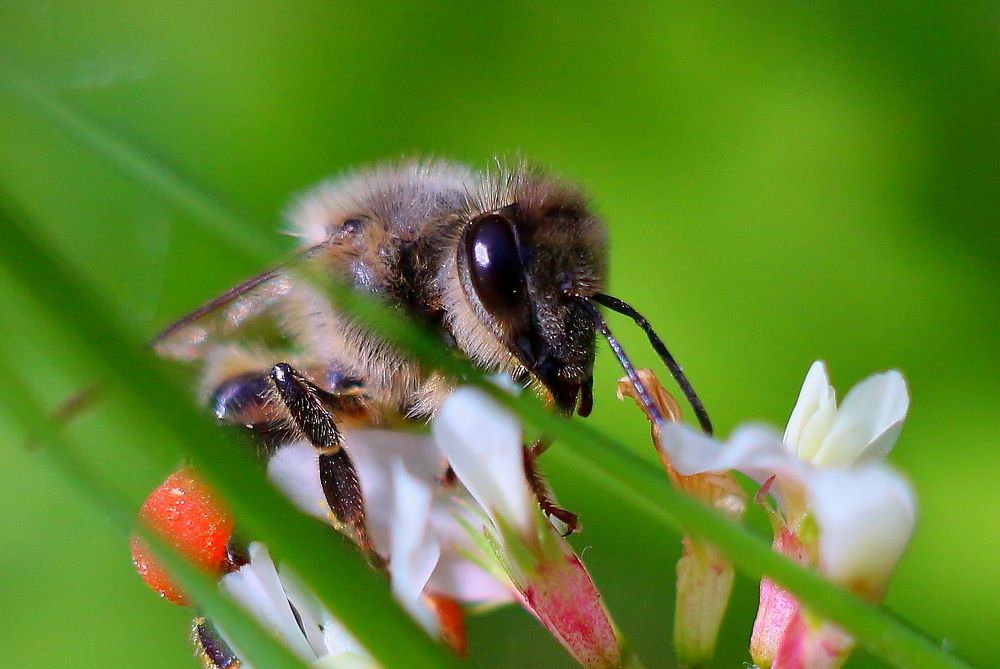 Photograph by салим насыпов