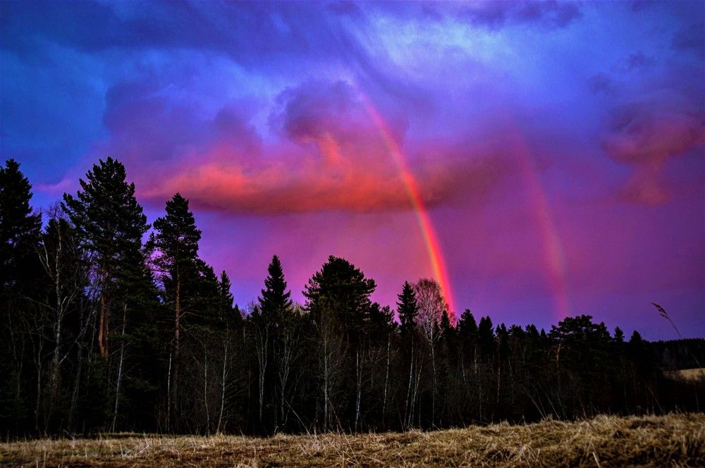Photograph by Олег Менакер