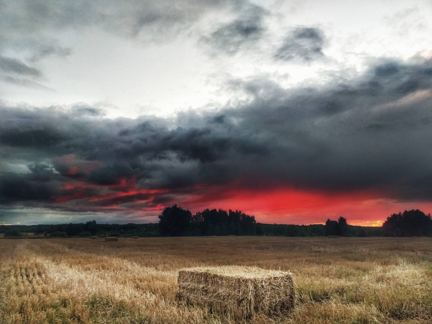Photo #8469550