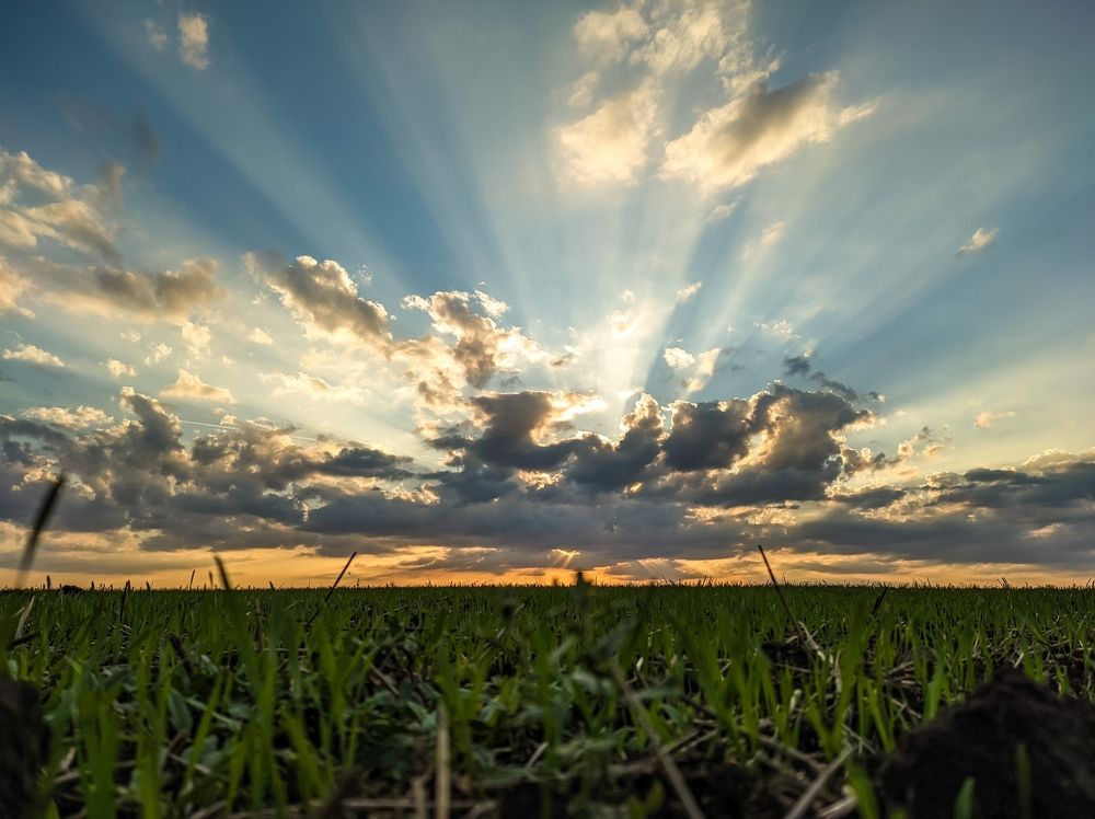 Photograph by Константин Панькин