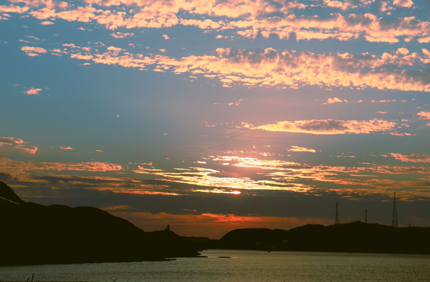 Photo #8469556