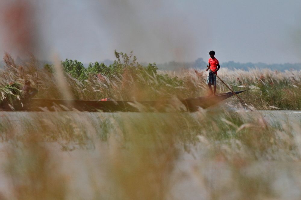 Photograph by Quazi Ahmed Hussain Sanjeed