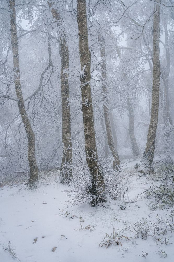 Photograph by Jens Ober