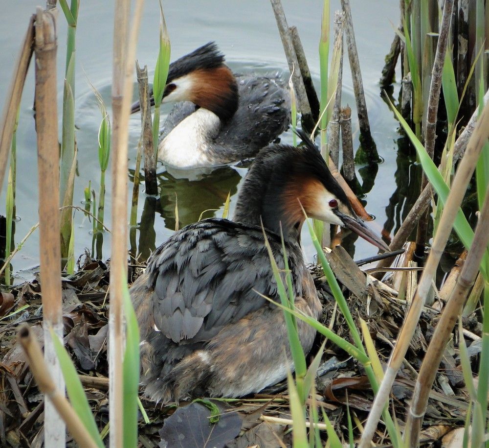 Photograph by Оксана Архипова