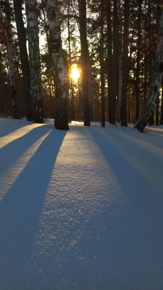 Photograph by Валерия Бебенина